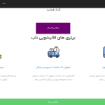 طراحی سایت قالیشویی ناب